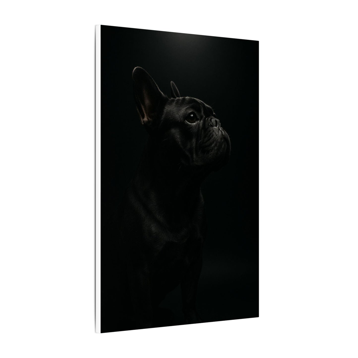 Bulldog Mystique-Fantasy Dog Portraits - Fantasy Dog Portraits