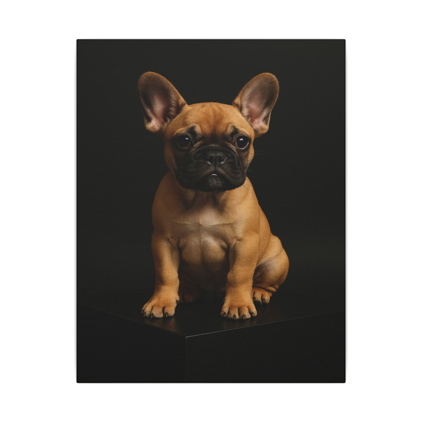Batty Bulldog-Fantasy Dog Portraits - Fantasy Dog Portraits