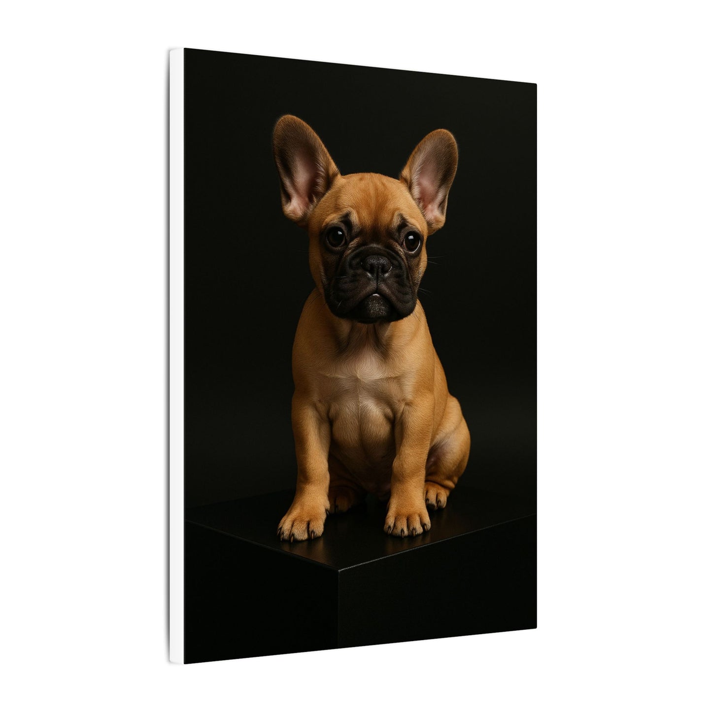 Batty Bulldog-Fantasy Dog Portraits - Fantasy Dog Portraits