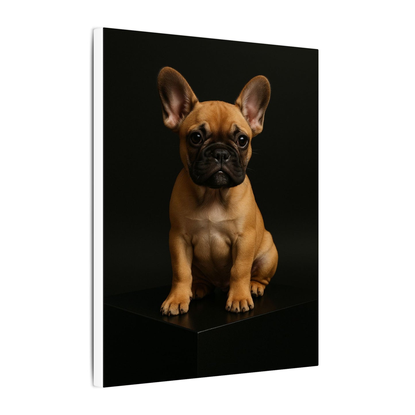 Batty Bulldog-Fantasy Dog Portraits - Fantasy Dog Portraits
