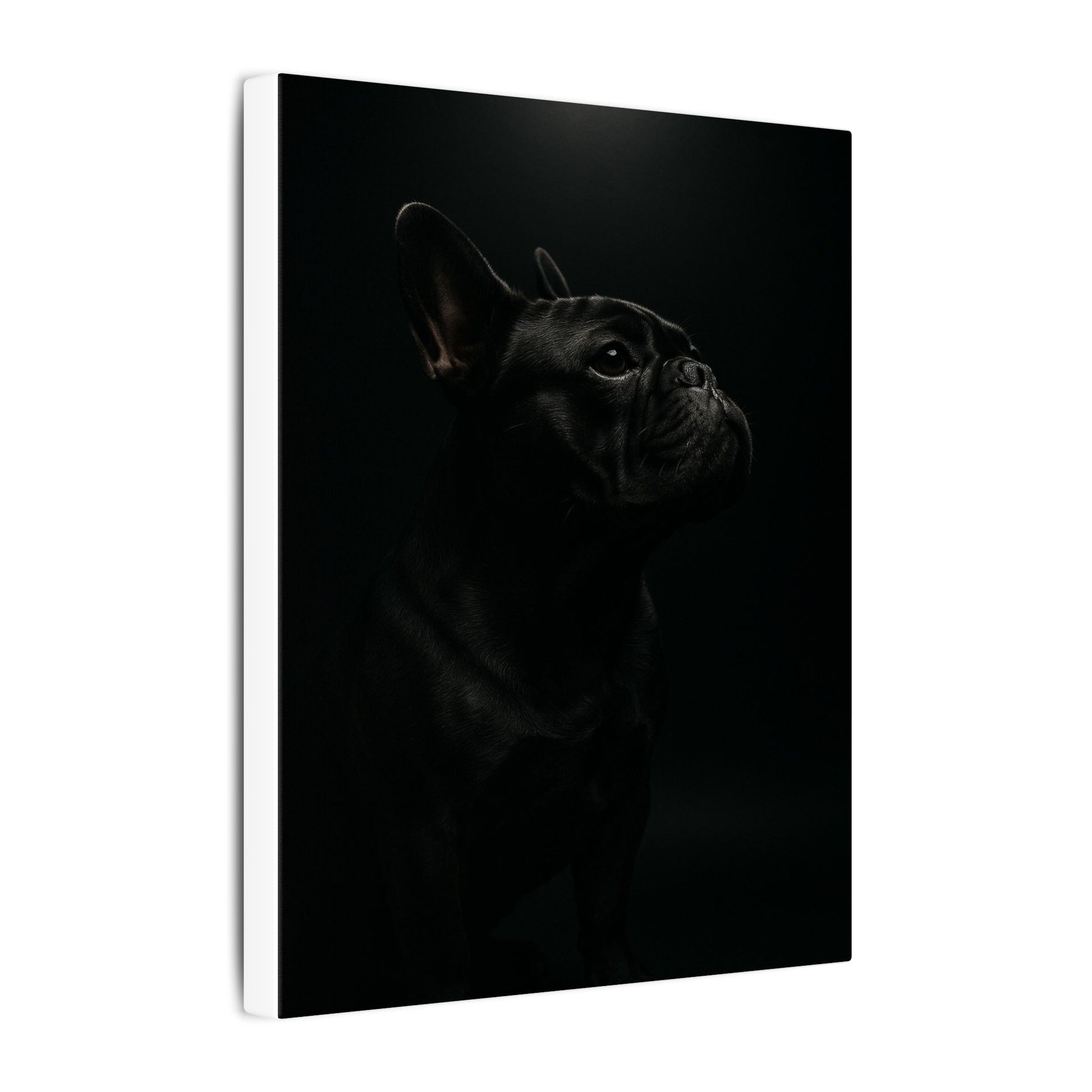 Bulldog Mystique-Fantasy Dog Portraits - Fantasy Dog Portraits