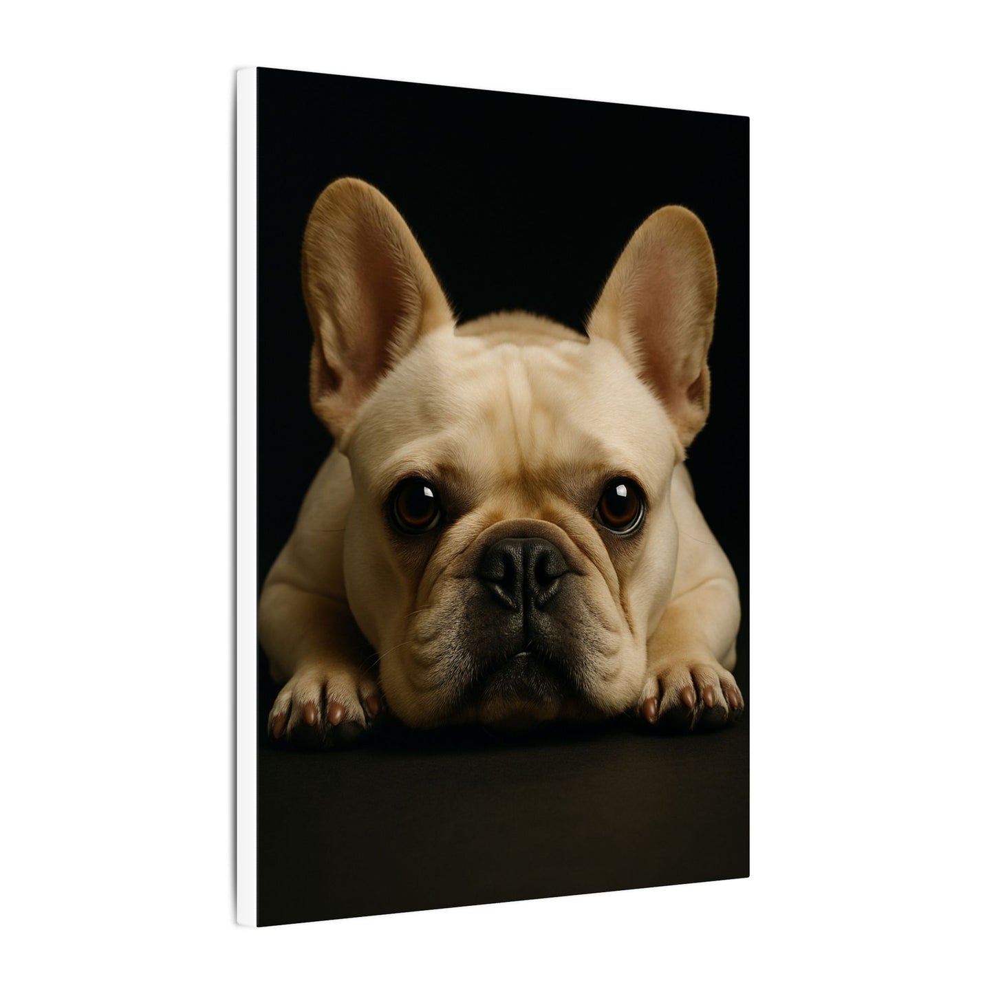 Frenchie-Fantasy Dog Portraits - Fantasy Dog Portraits