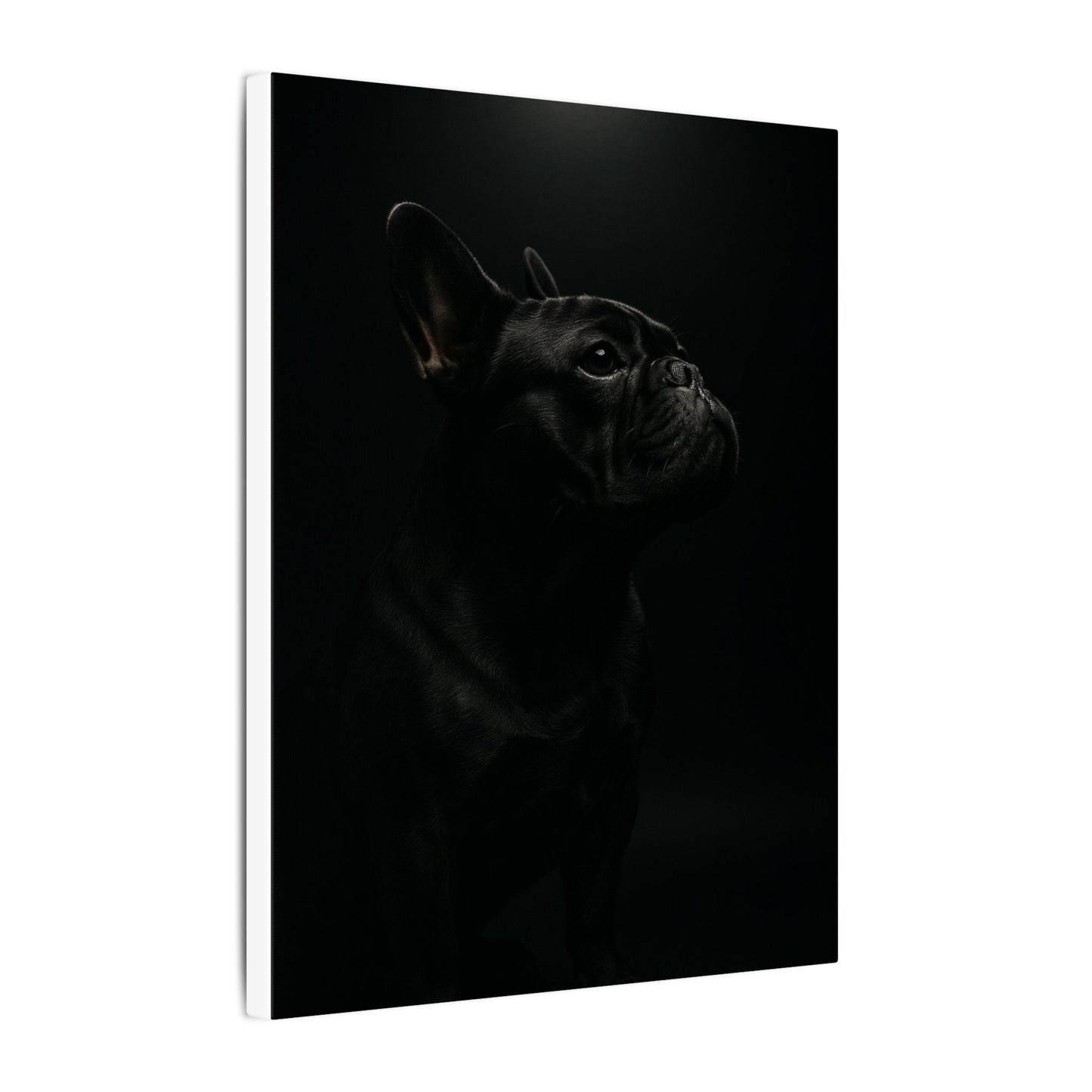 Bulldog Mystique-Fantasy Dog Portraits - Fantasy Dog Portraits
