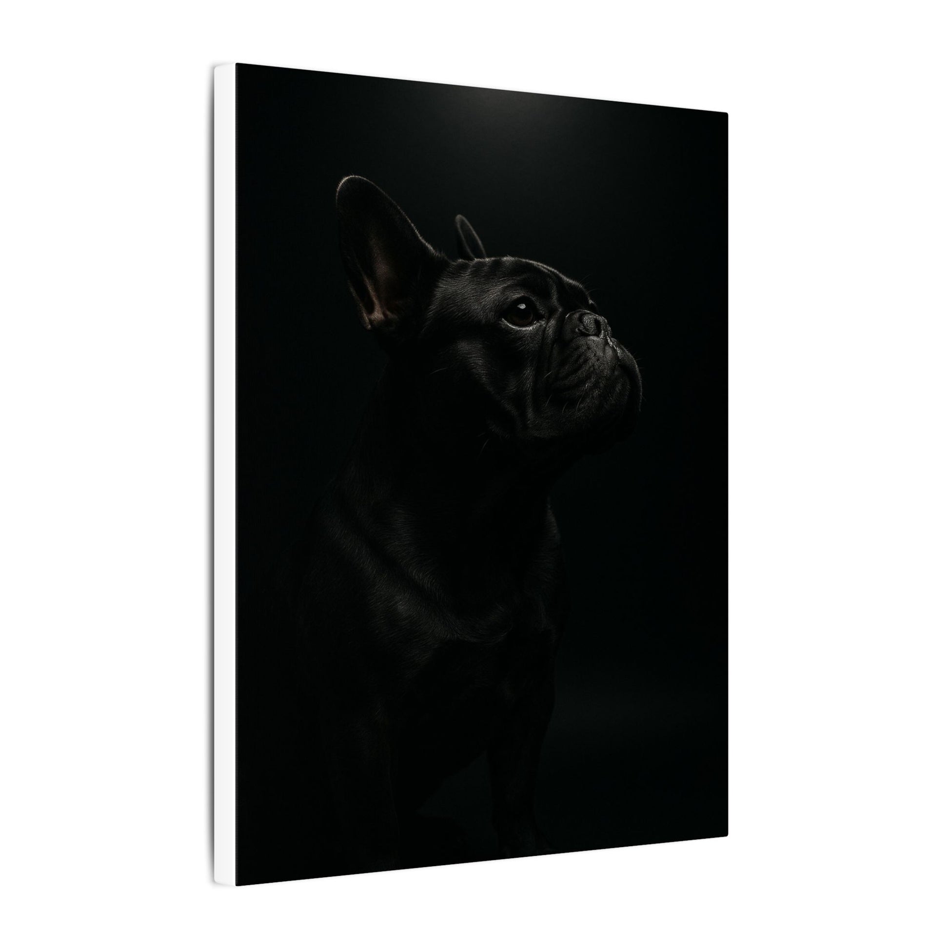Bulldog Mystique-Fantasy Dog Portraits - Fantasy Dog Portraits