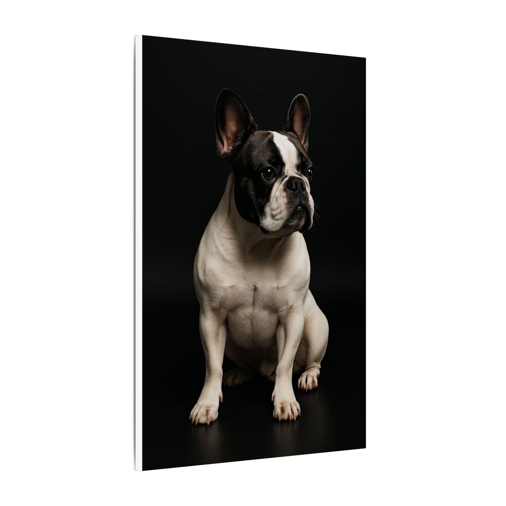 Soulful Frenchie-Fantasy Dog Portraits - Fantasy Dog Portraits