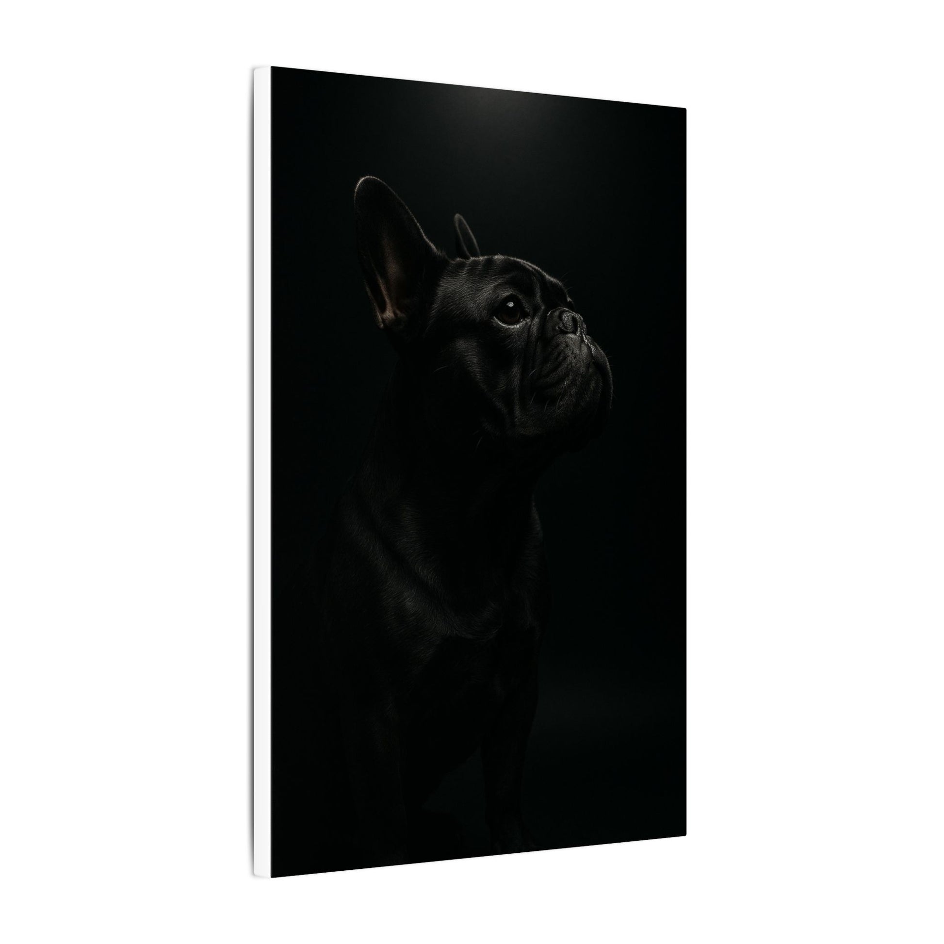 Bulldog Mystique-Fantasy Dog Portraits - Fantasy Dog Portraits