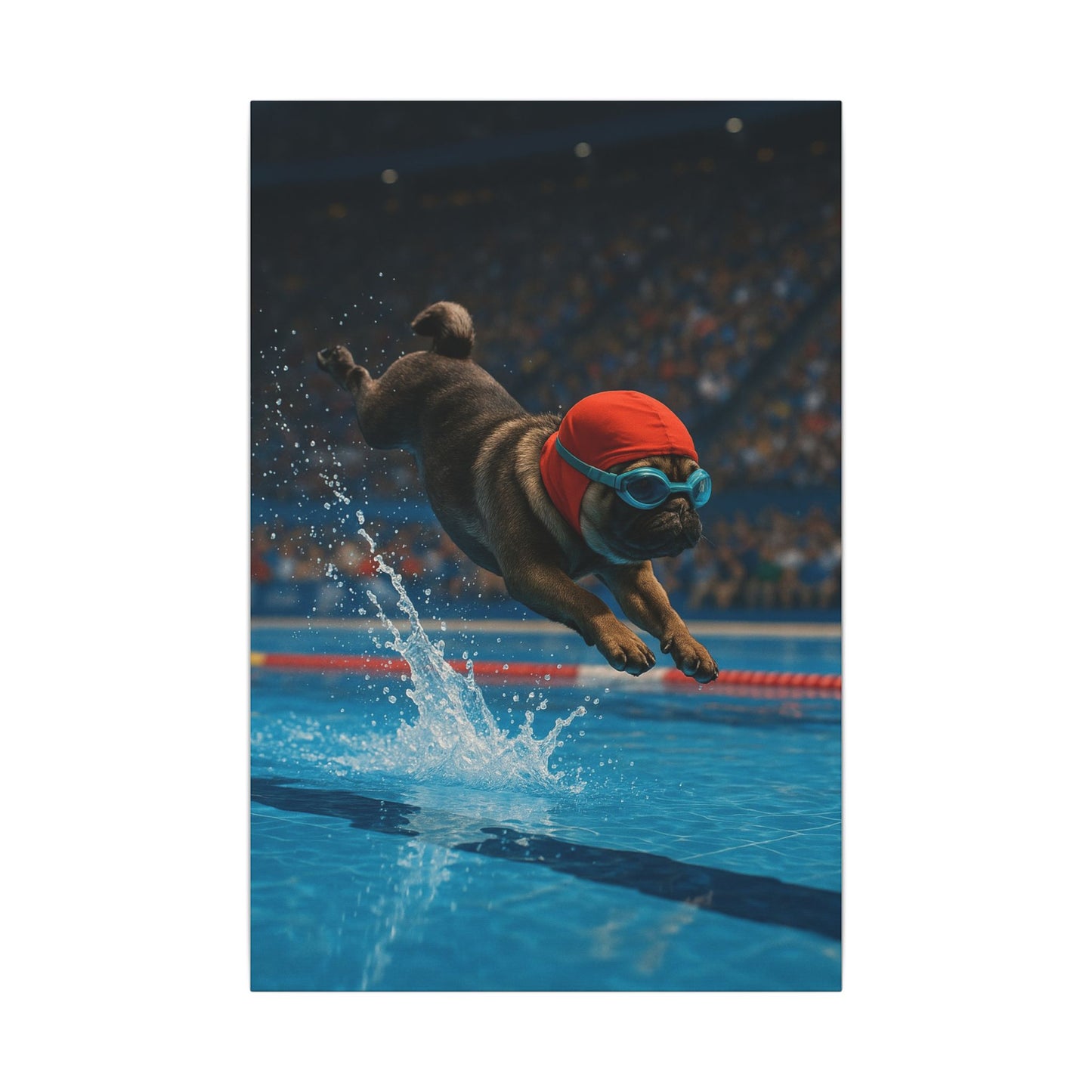 Pug Splash-Fantasy Dog Portraits - Fantasy Dog Portraits