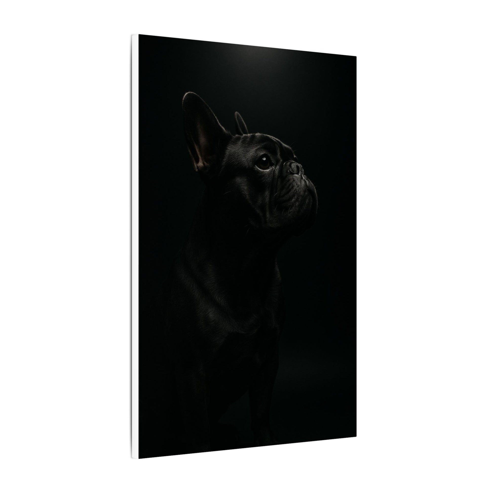 Bulldog Mystique-Fantasy Dog Portraits - Fantasy Dog Portraits
