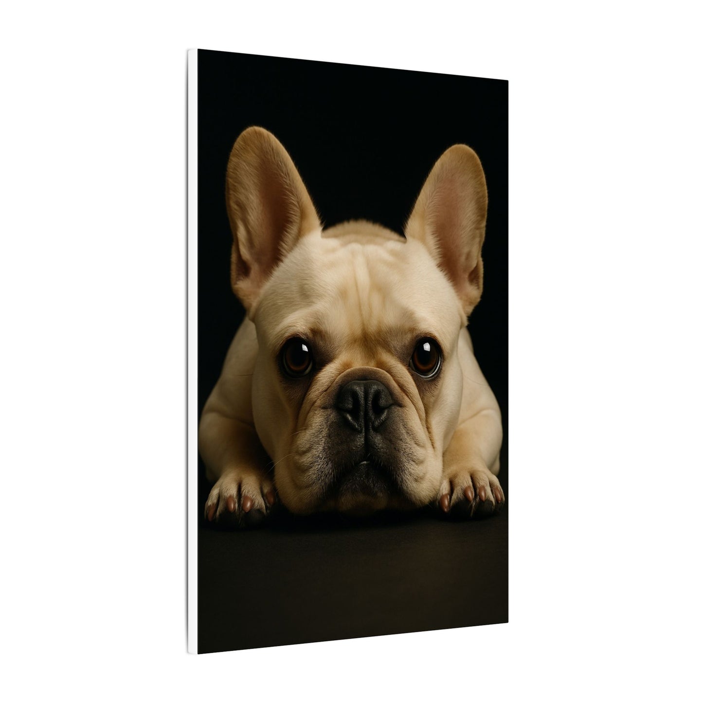 Frenchie-Fantasy Dog Portraits - Fantasy Dog Portraits