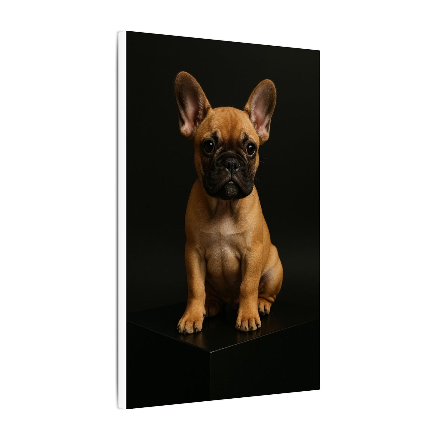 Batty Bulldog-Fantasy Dog Portraits - Fantasy Dog Portraits