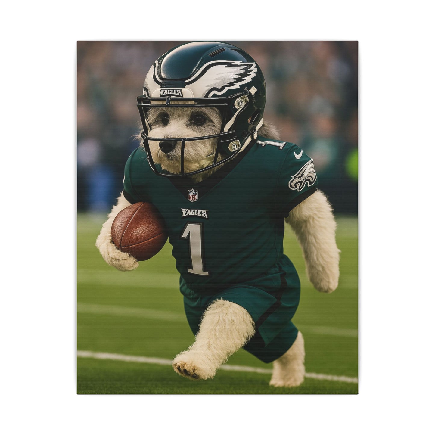 Furry Football Hero-Fantasy Dog Portraits - Fantasy Dog Portraits