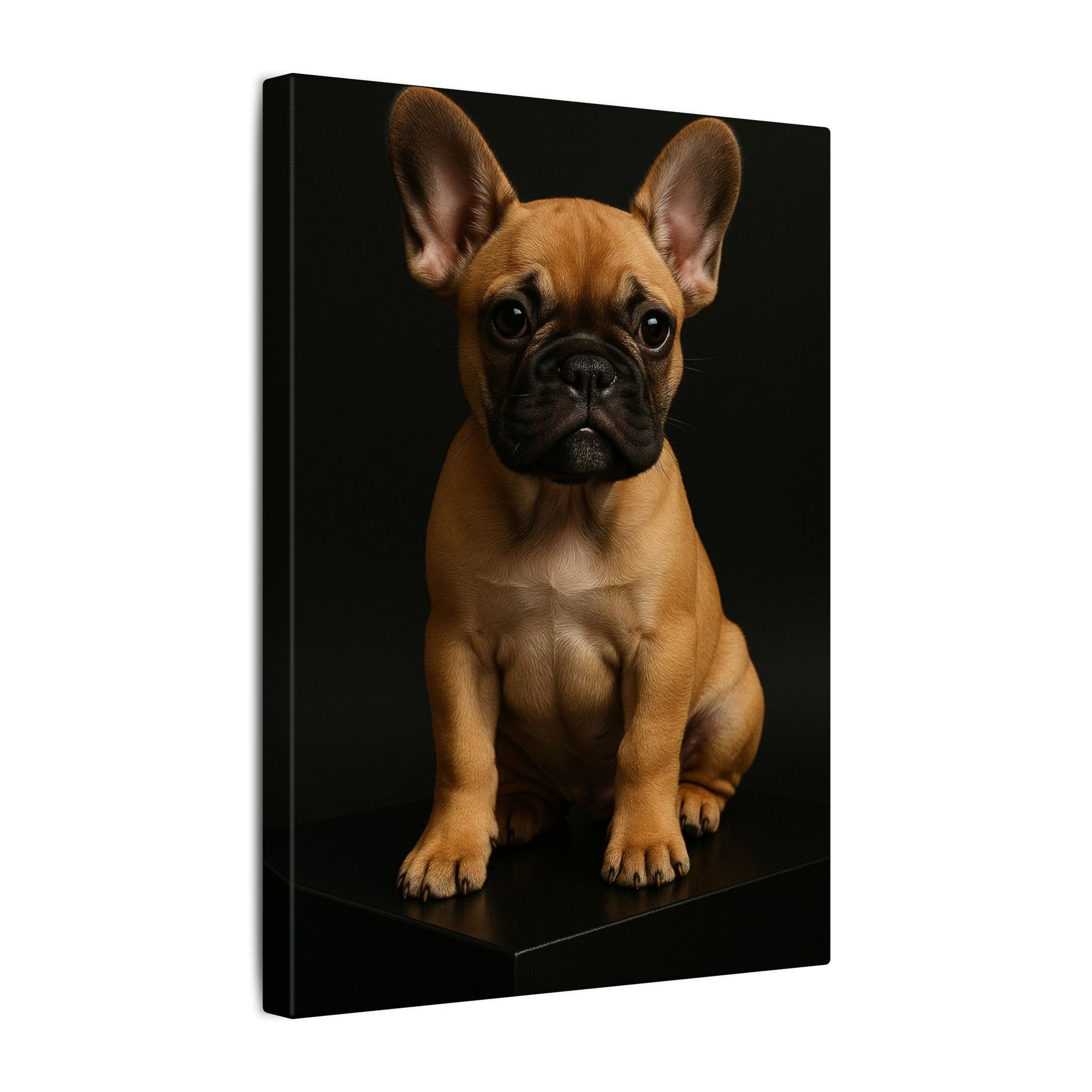 Batty Bulldog-Fantasy Dog Portraits - Fantasy Dog Portraits