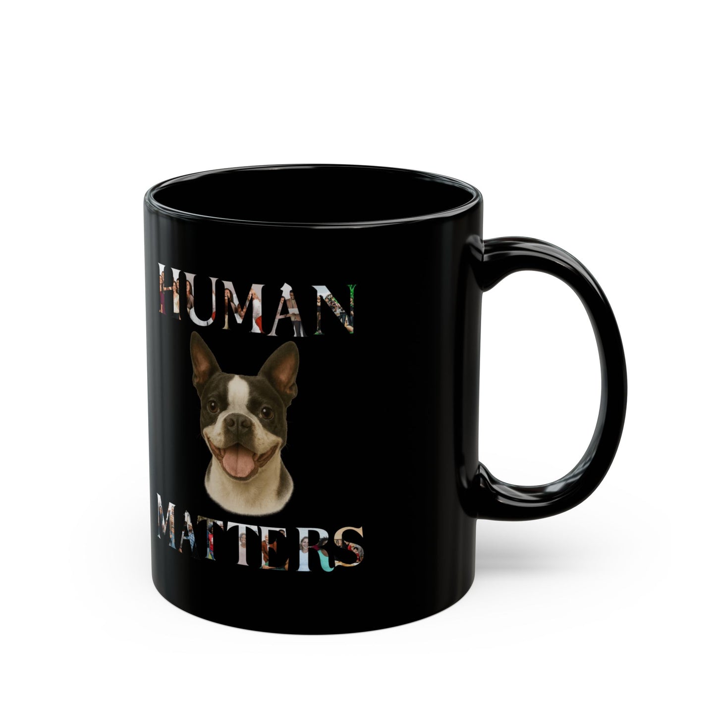 Boston's Smile Fantasy Dog Portraits