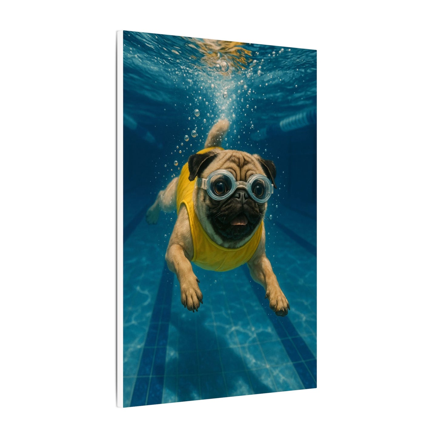 Swimming Sensation-Fantasy Dog Portraits - Fantasy Dog Portraits