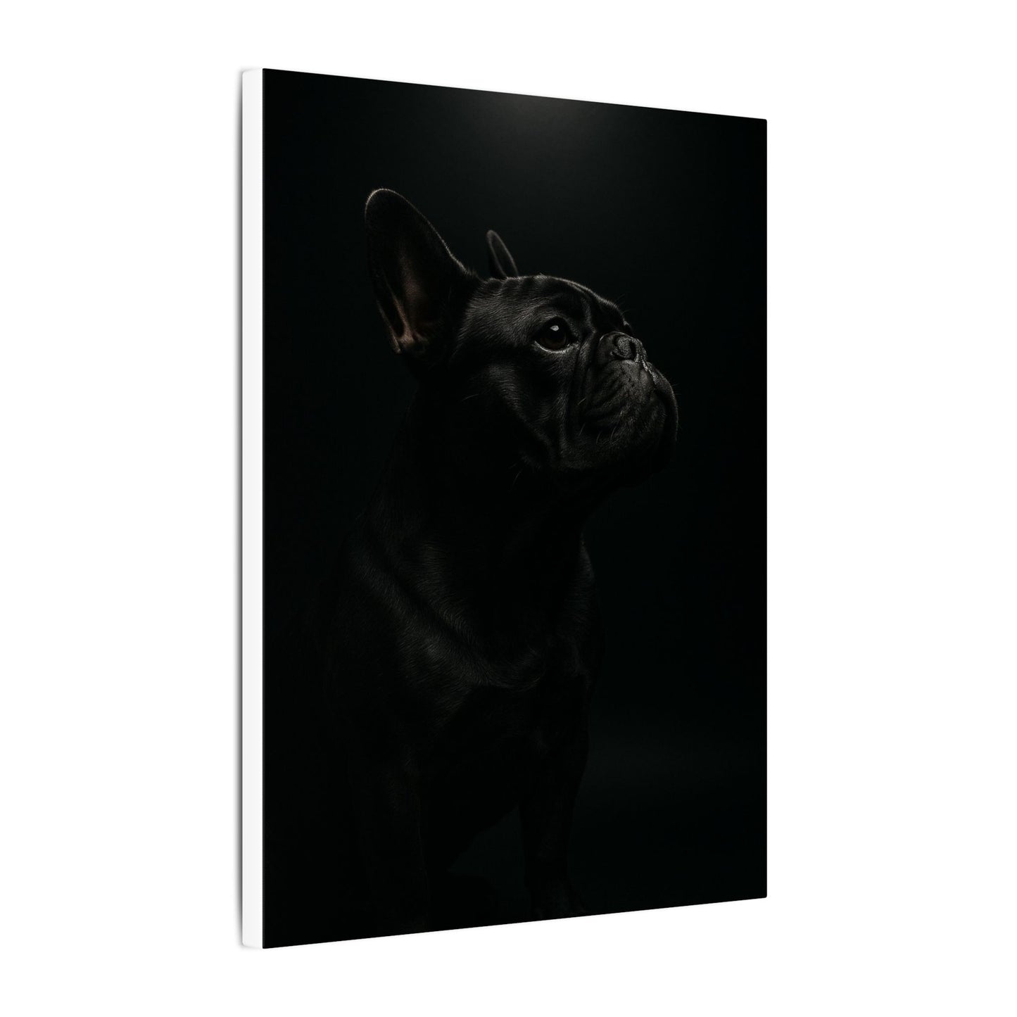 Bulldog Mystique-Fantasy Dog Portraits - Fantasy Dog Portraits
