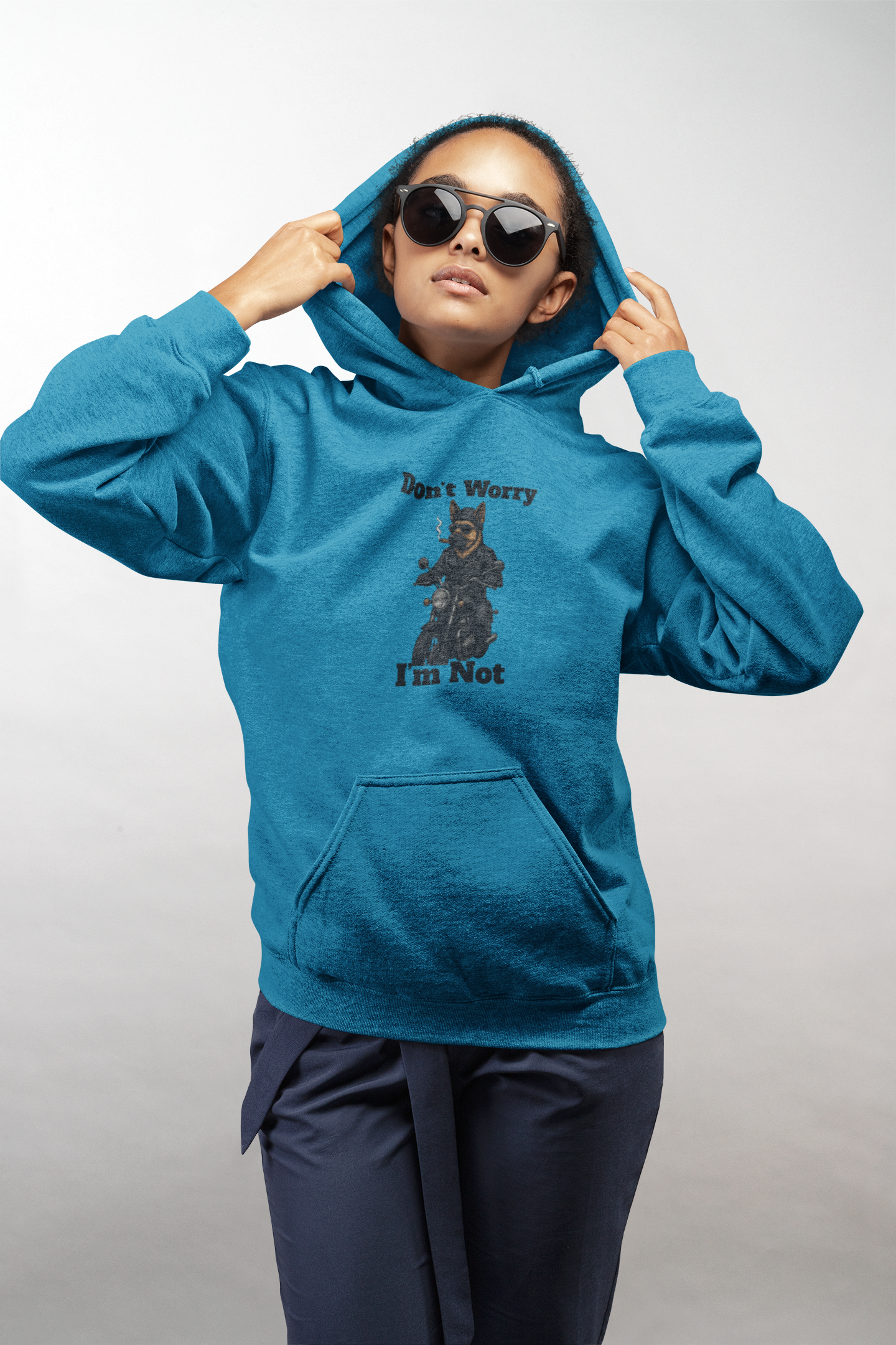 Funny Sweatshirt, Unisex Heavy Blend Hoodie, Don't Worry I'm Not Sweatshirt, Casual Wear, Gift for Friends, Humor Clothing - Fantasy Dog Portraits