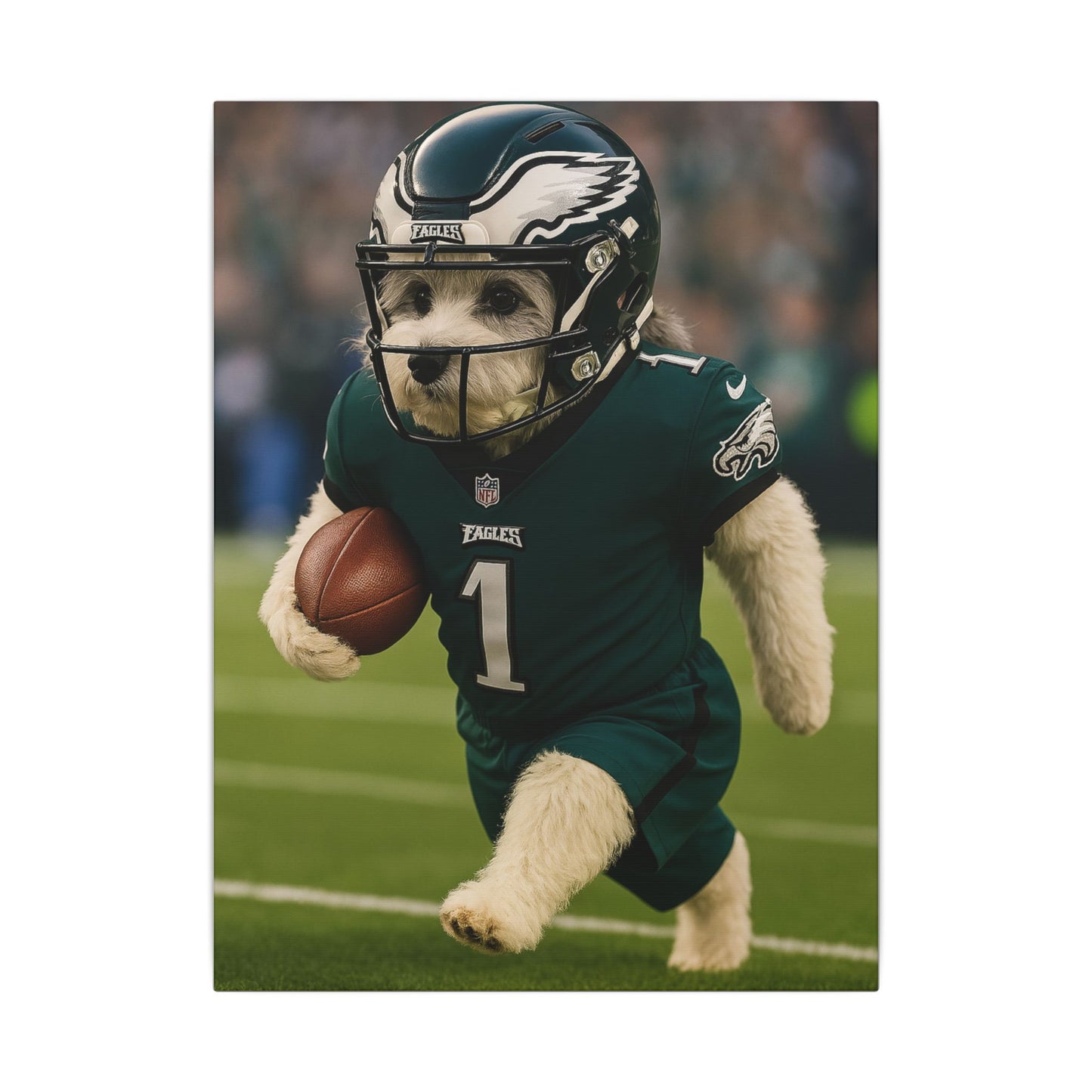 Furry Football Hero-Fantasy Dog Portraits - Fantasy Dog Portraits
