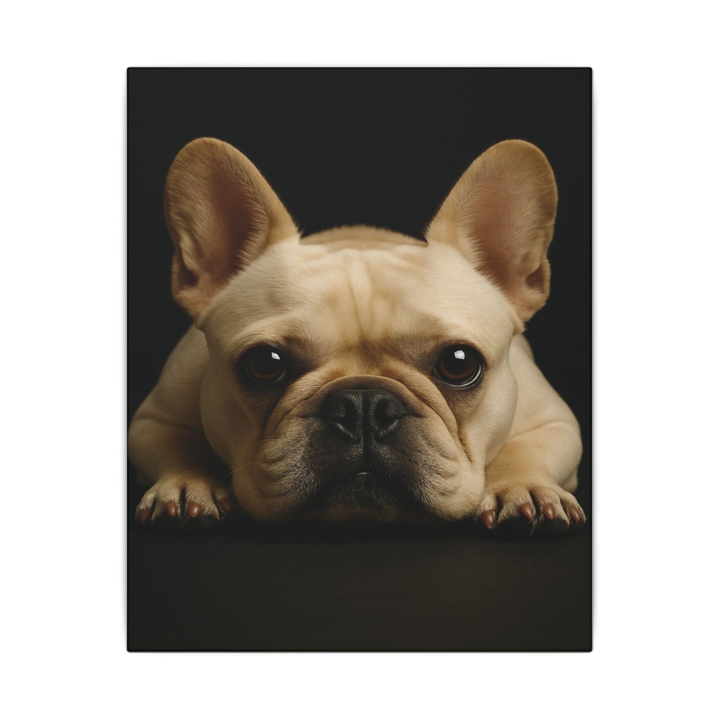 Frenchie-Fantasy Dog Portraits - Fantasy Dog Portraits