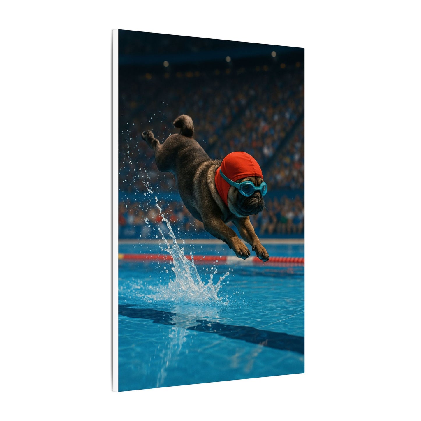 Pug Splash-Fantasy Dog Portraits - Fantasy Dog Portraits