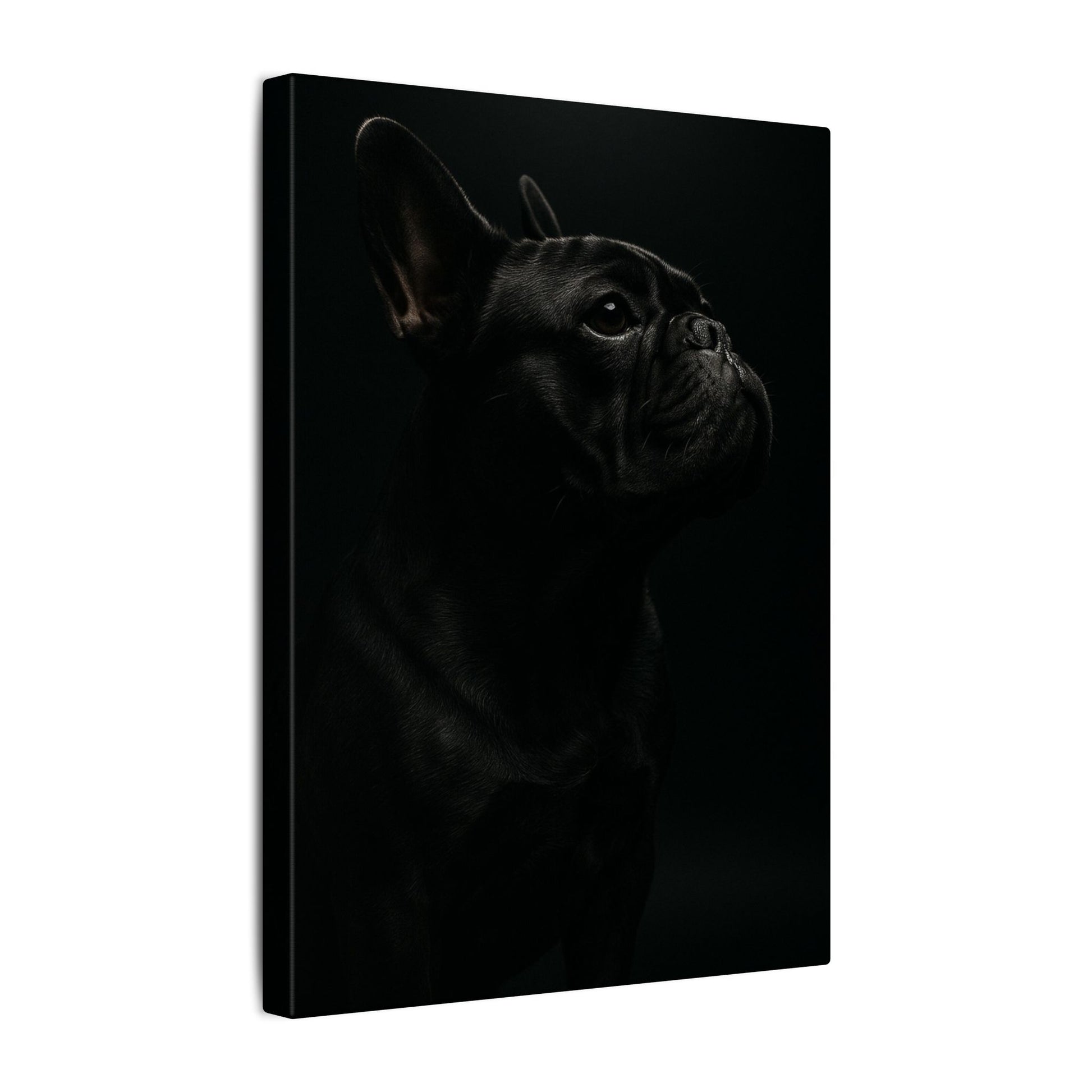 Bulldog Mystique-Fantasy Dog Portraits - Fantasy Dog Portraits