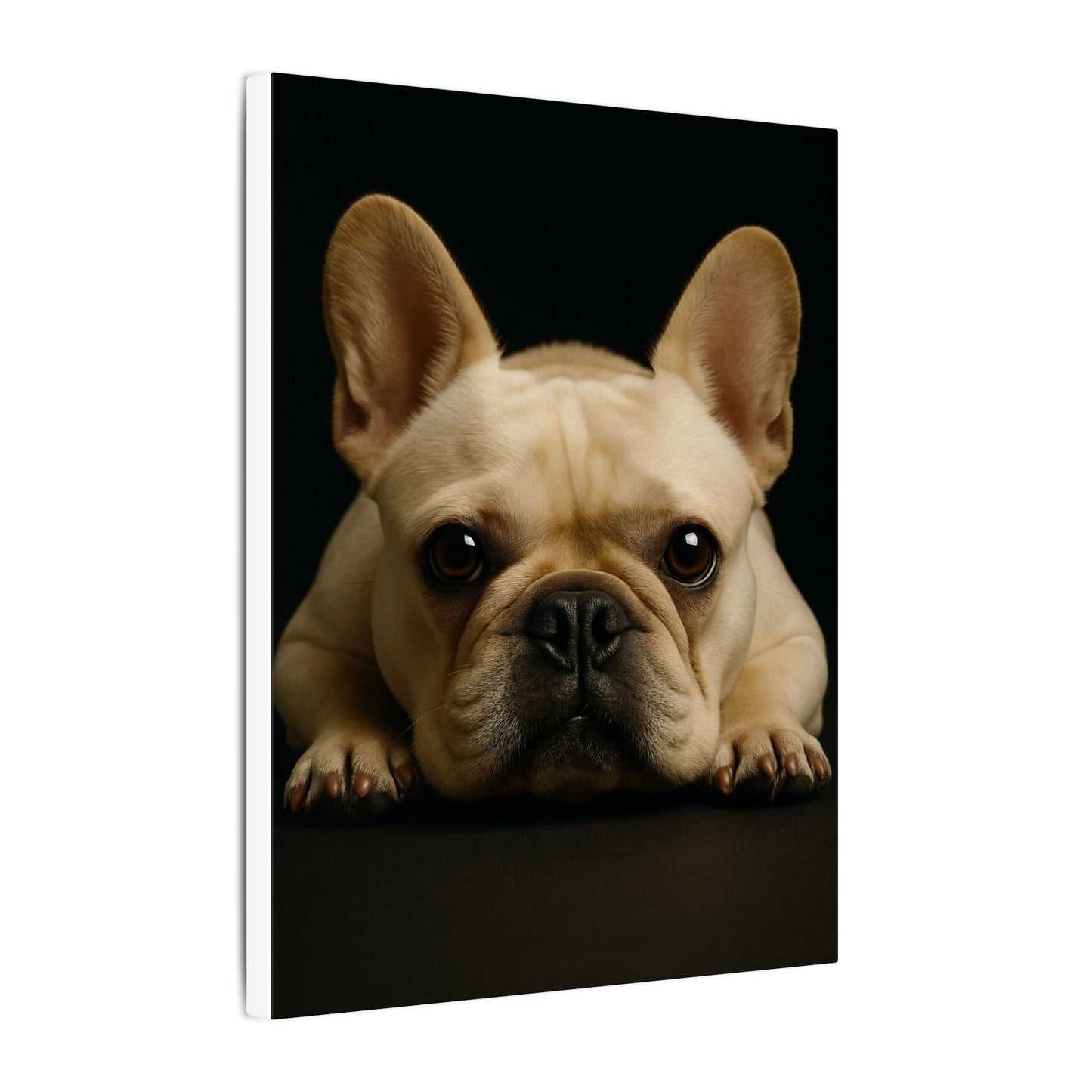 Frenchie-Fantasy Dog Portraits - Fantasy Dog Portraits