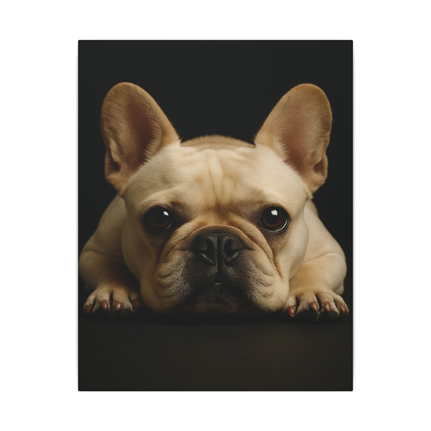 Frenchie-Fantasy Dog Portraits - Fantasy Dog Portraits