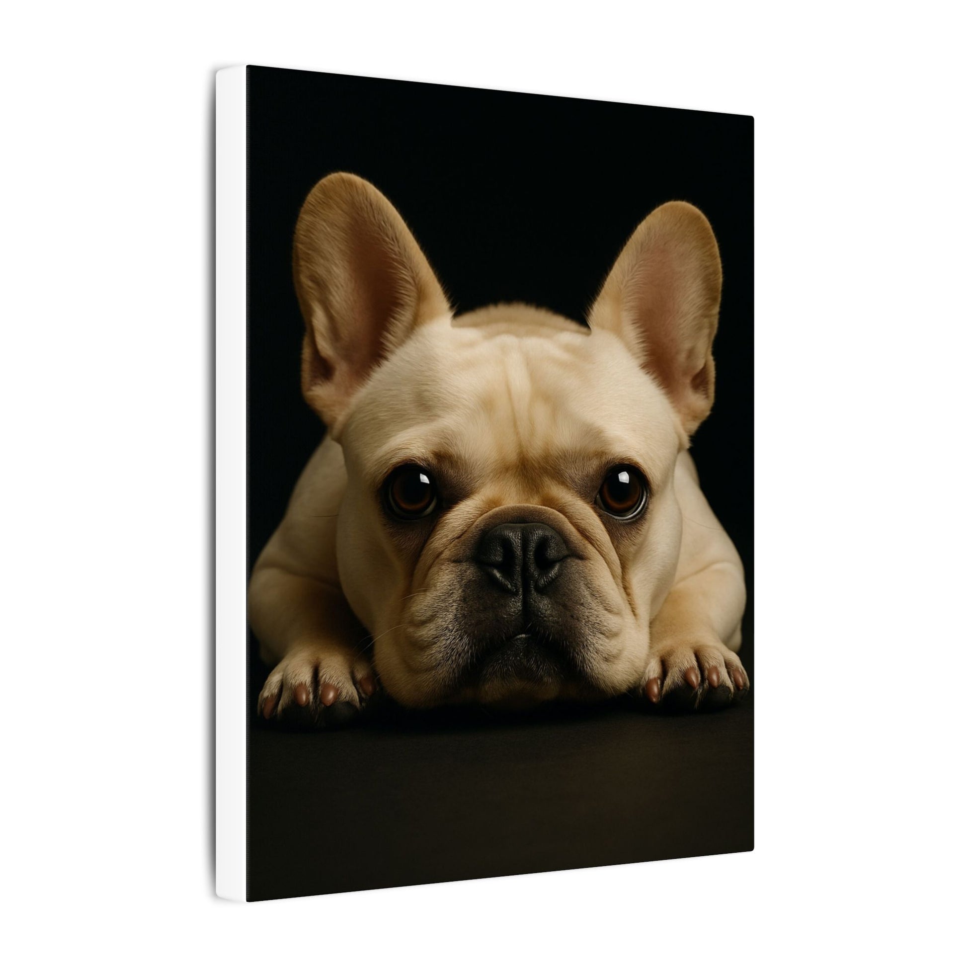 Frenchie-Fantasy Dog Portraits - Fantasy Dog Portraits