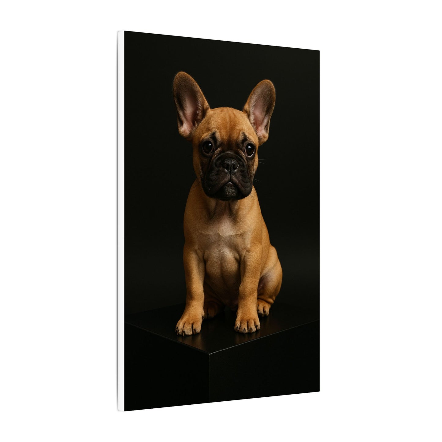 Batty Bulldog-Fantasy Dog Portraits - Fantasy Dog Portraits