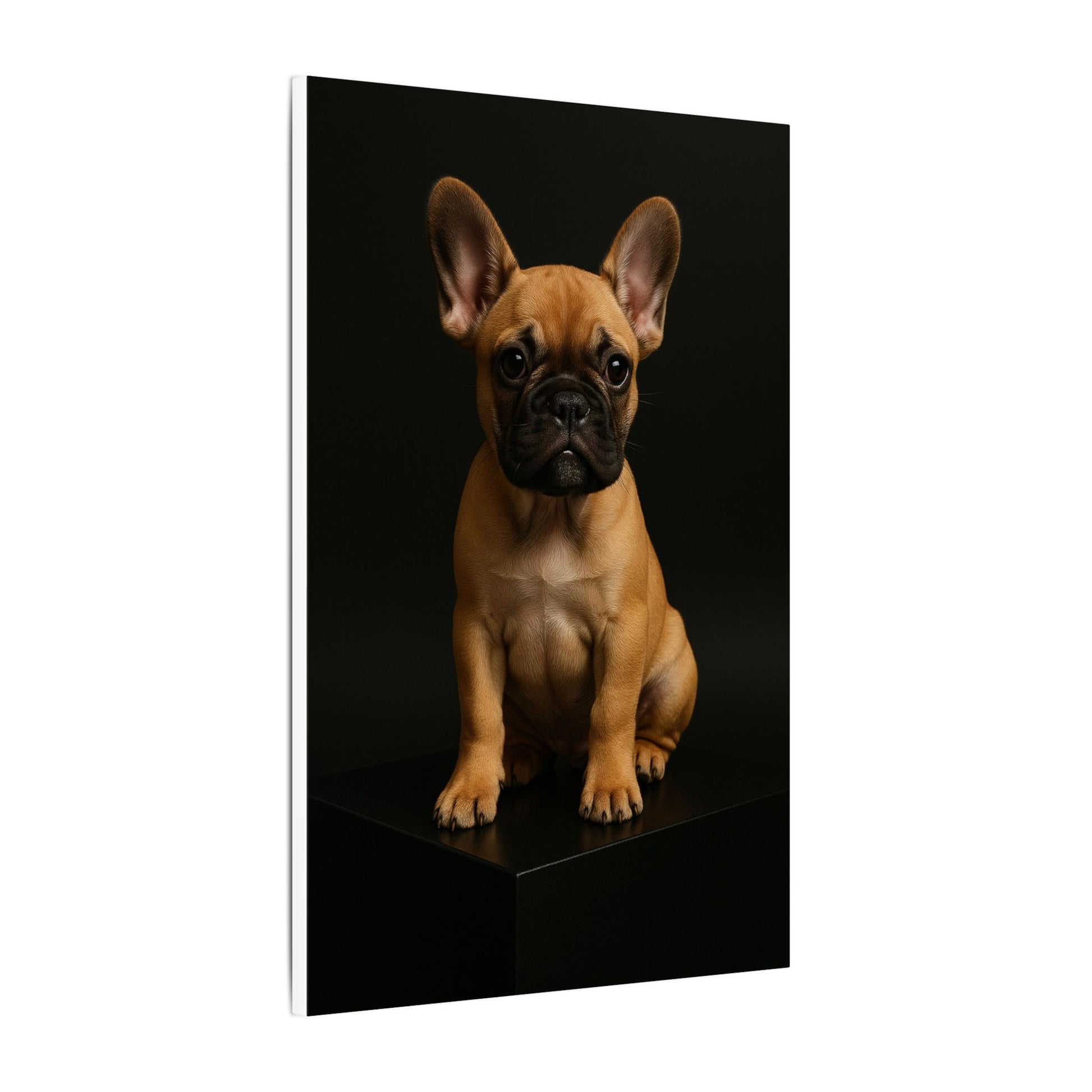 Batty Bulldog-Fantasy Dog Portraits - Fantasy Dog Portraits