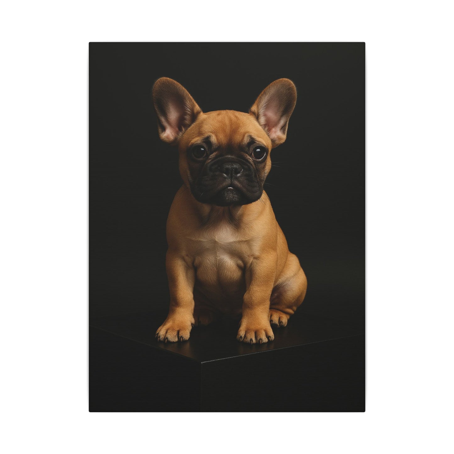 Batty Bulldog-Fantasy Dog Portraits - Fantasy Dog Portraits