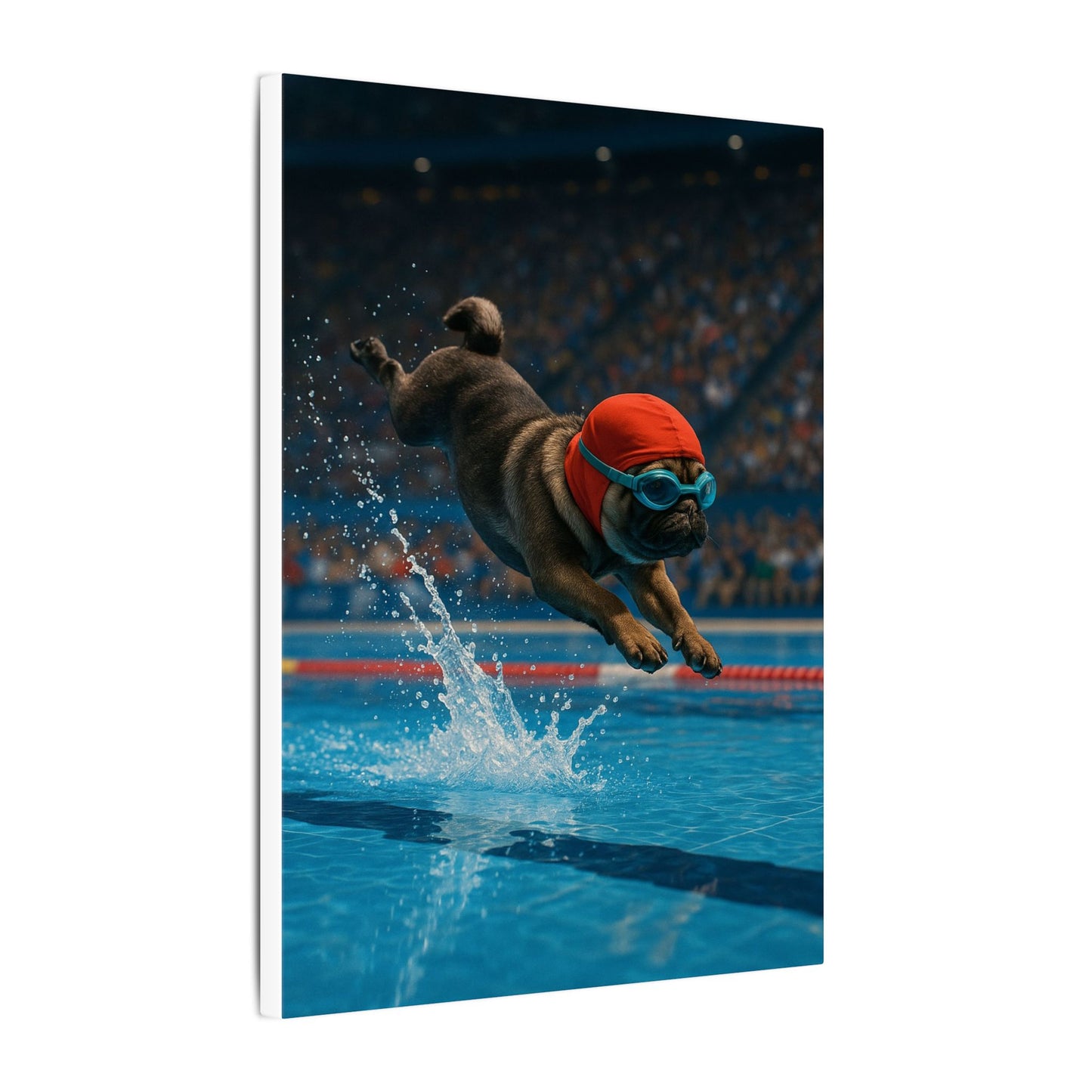 Pug Splash-Fantasy Dog Portraits - Fantasy Dog Portraits