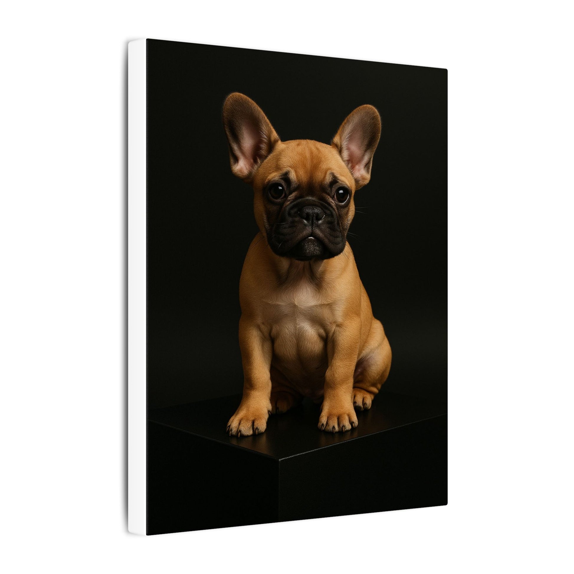 Batty Bulldog-Fantasy Dog Portraits - Fantasy Dog Portraits