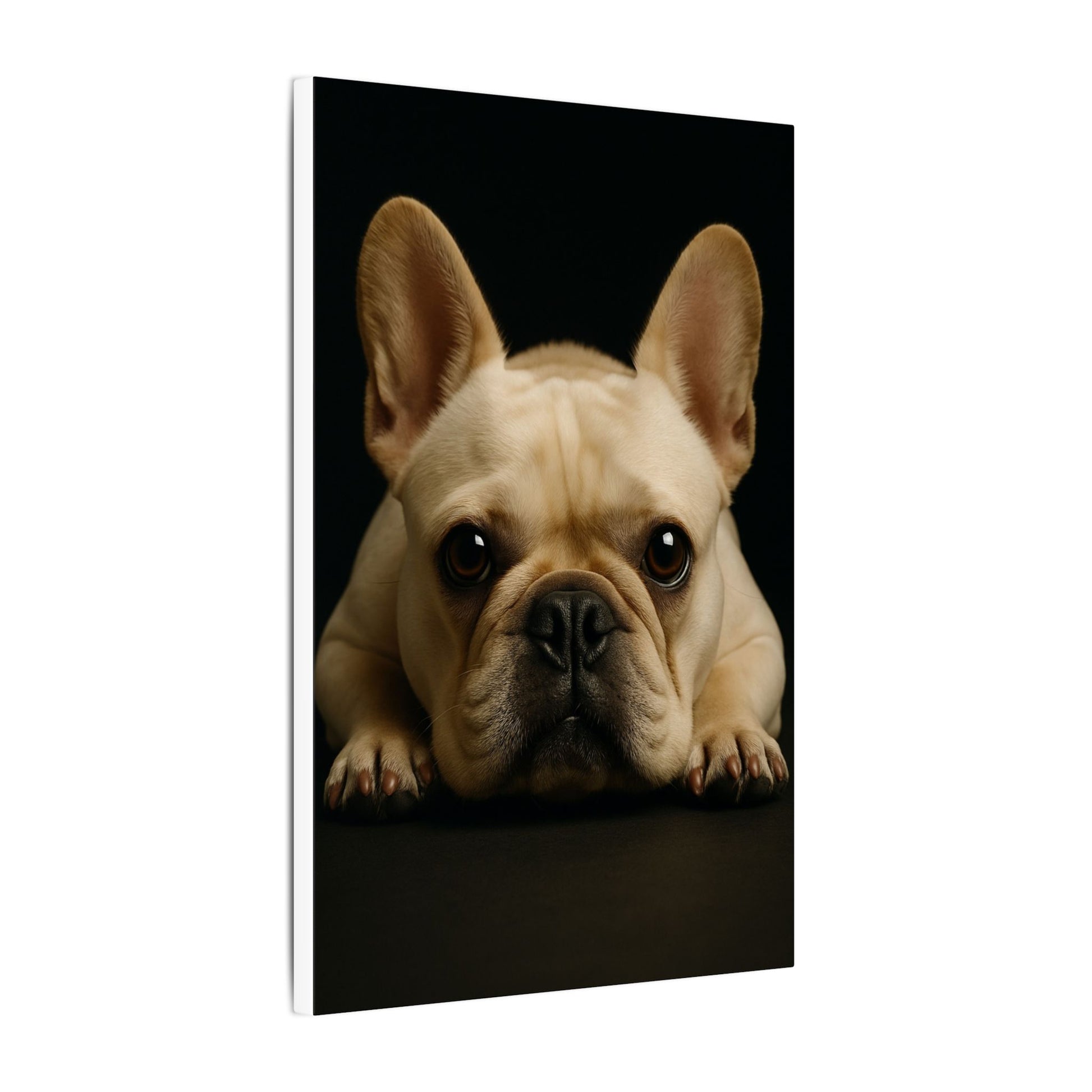 Frenchie-Fantasy Dog Portraits - Fantasy Dog Portraits