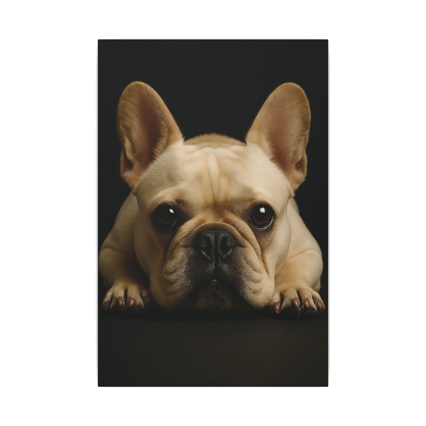 Frenchie-Fantasy Dog Portraits - Fantasy Dog Portraits