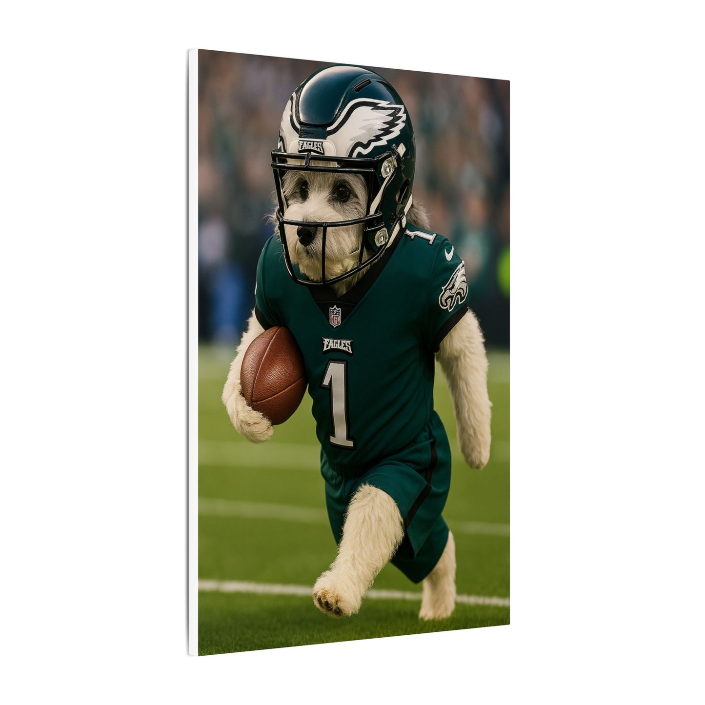 Furry Football Hero-Fantasy Dog Portraits - Fantasy Dog Portraits